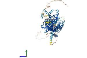AlphaFold protein structure predicition of Human Recombinant SLC26A2 Protein, UniprotID P50443