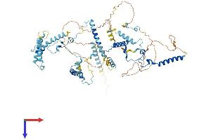 AlphaFold protein structure predicition of Human Recombinant MPHOSPH10 Protein, UniprotID O00566