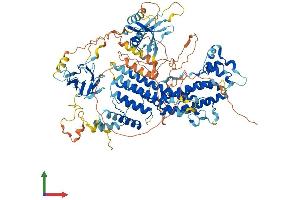 AlphaFold protein structure predicition of Human Recombinant RASIP1 Protein, UniprotID Q5U651