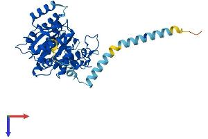 AlphaFold protein structure predicition of Human Recombinant B3GNT5 Protein, UniprotID Q9BYG0