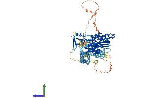 AlphaFold protein structure predicition of Human Recombinant KIF2A Protein, UniprotID O00139