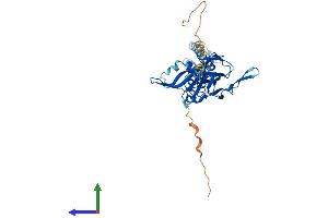 AlphaFold protein structure predicition of Human Recombinant KCNJ9 Protein, UniprotID Q92806