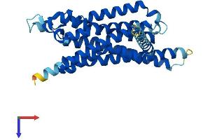 AlphaFold protein structure predicition of Mouse Recombinant Adora3 Protein, UniprotID Q61618