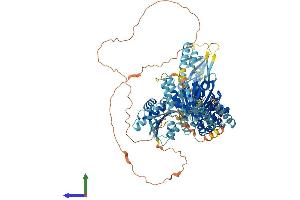 AlphaFold protein structure predicition of Mouse Recombinant Msh4 Protein, UniprotID Q99MT2