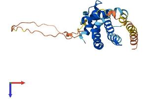 AlphaFold protein structure predicition of Human Recombinant BCL2L1 Protein, UniprotID Q07817