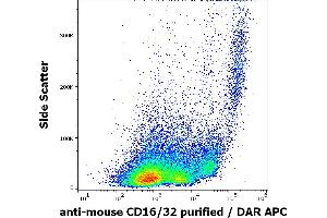 Flow cytometry surface staining pattern of rat splenocytes suspension stained using anti-mouse CD16/32 (93) purified antibody (concentration in sample 0. (CD32/CD16 anticorps)