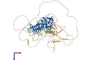AlphaFold protein structure predicition of Human Recombinant FNIP2 Protein, UniprotID Q9P278
