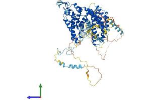 AlphaFold protein structure predicition of Human Recombinant ASCC2 Protein, UniprotID Q9H1I8