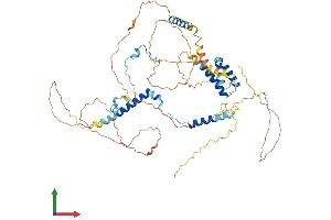 AlphaFold protein structure predicition of Mouse Recombinant Spata7 Protein, UniprotID Q80VP2