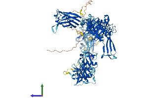AlphaFold protein structure predicition of Human Recombinant USP7 Protein, UniprotID Q93009