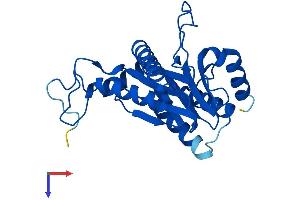 AlphaFold protein structure predicition of Human Recombinant PSMA6 Protein, UniprotID P60900