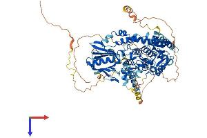 AlphaFold protein structure predicition of Mouse Recombinant Mtmr12 Protein, UniprotID Q80TA6