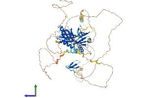 AlphaFold protein structure predicition of Mouse Recombinant Apbb2 Protein, UniprotID Q9DBR4