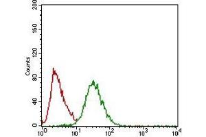Flow cytometric analysis of Hela cells using TWIST1 mouse mAb (green) and negative control (red).