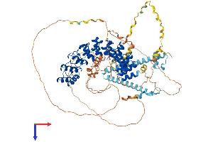 AlphaFold protein structure predicition of Human Recombinant ESPN Protein, UniprotID B1AK53