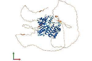 AlphaFold protein structure predicition of Mouse Recombinant Mark3 Protein, UniprotID Q03141