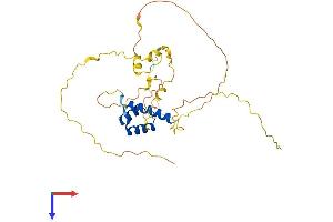 AlphaFold protein structure predicition of Mouse Recombinant Gsx2 Protein, UniprotID P31316