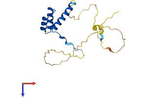 AlphaFold protein structure predicition of Mouse Recombinant Dlx6 Protein, UniprotID P70397