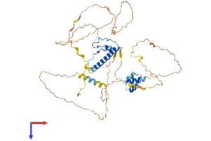 AlphaFold protein structure predicition of Human Recombinant DMRT3 Protein, UniprotID Q9NQL9