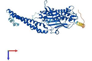 AlphaFold protein structure predicition of Mouse Recombinant Sars1 Protein, UniprotID P26638
