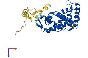 AlphaFold protein structure predicition of Mouse Recombinant Nr0b2 Protein, UniprotID Q62227