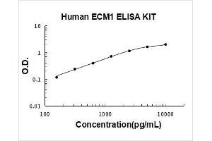 Extracellular Matrix Protein 1 (ECM1) ELISA Kit