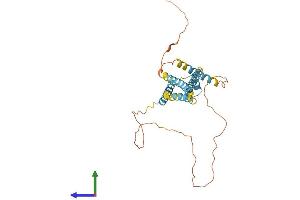 AlphaFold protein structure predicition of Human Recombinant CAMLG Protein, UniprotID P49069