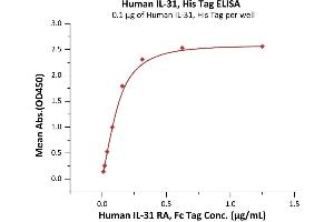 Immobilized Human IL-31, His Tag (ABIN6973122) at 1 μg/mL (100 μL/well) can bind Human IL-31 RA, Fc Tag (ABIN6731283,ABIN6809877) with a linear range of 0.