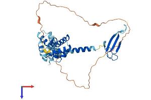 AlphaFold protein structure predicition of Mouse Recombinant Tcea3 Protein, UniprotID P23881