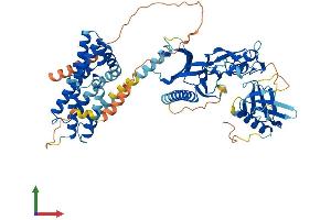 AlphaFold protein structure predicition of Mouse Recombinant Fgd2 Protein, UniprotID Q8BY35