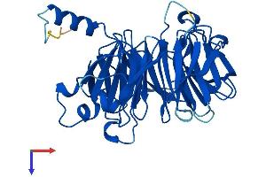 AlphaFold protein structure predicition of Mouse Recombinant Thoc6 Protein, UniprotID Q5U4D9
