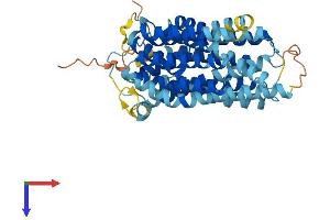 AlphaFold protein structure predicition of Mouse Recombinant Slc46a1 Protein, UniprotID Q6PEM8