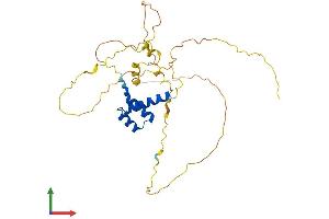 AlphaFold protein structure predicition of Mouse Recombinant Gsx2 Protein, UniprotID P31316