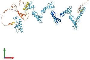 AlphaFold protein structure predicition of Human Recombinant ZNF92 Protein, UniprotID Q03936