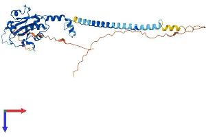 AlphaFold protein structure predicition of Mouse Recombinant Pcyt1a Protein, UniprotID P49586