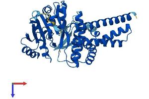 AlphaFold protein structure predicition of Human Recombinant UGCG Protein, UniprotID Q16739