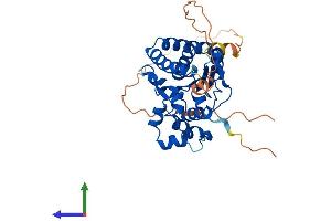 AlphaFold protein structure predicition of Human Recombinant SRRD Protein, UniprotID Q9UH36