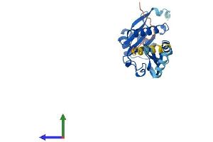 AlphaFold protein structure predicition of Mouse Recombinant Naa60 Protein, UniprotID Q9DBU2