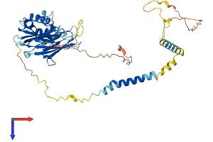 AlphaFold protein structure predicition of Human Recombinant SGCE Protein, UniprotID O43556