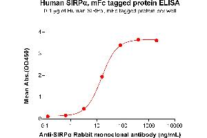ELISA plate pre-coated by 1 μg/mL (100 μL/well) Human SIRPα Protein, mFc Tag  (ABIN7092698, ABIN7272186 and ABIN7272187) can bind anti-SIRPα antibody, Rabbit mAb clone: DM8 in a linear range of 3.
