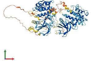 AlphaFold protein structure predicition of Human Recombinant RPS6KA1 Protein, UniprotID Q15418