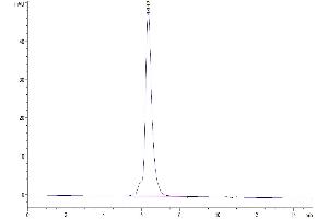 The purity of Biotinylated Human MMP-9 is greater than 95 % as determined by SEC-HPLC.