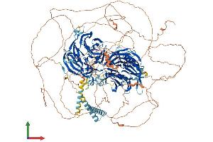 AlphaFold protein structure predicition of Mouse Recombinant Mapkbp1 Protein, UniprotID Q6NS57