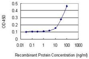 Detection limit for recombinant GST tagged HEY2 is 3 ng/ml as a capture antibody.