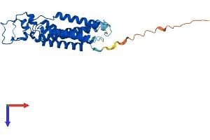 AlphaFold protein structure predicition of Mouse Recombinant Plpp2 Protein, UniprotID Q9DAX2