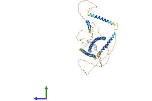 AlphaFold protein structure predicition of Human Recombinant SSX2IP Protein, UniprotID Q9Y2D8