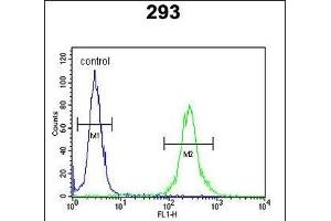 MR Antibody (N-term) 9980a flow cytometric analysis of 293 cells (right histogram) compared to a negative control cell (left histogram). (MRAP anticorps  (N-Term))