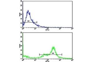 Flow cytometric analysis of MDA-231 cells using C6 antibody (green) compared to a negative control (blue).