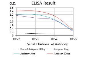 ELISA image for anti-Neurofilament, Light Polypeptide (NEFL) antibody (ABIN1108416) (NEFL anticorps)