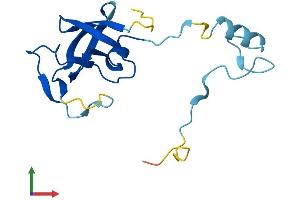 AlphaFold protein structure predicition of Human Recombinant HERV-K104 Protein, UniprotID P63124 (HERV-K104 (AA 1-156) protein (His tag))